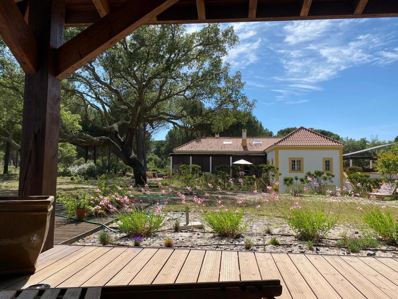 Herdade De Montalvo - Comporta Exterior foto